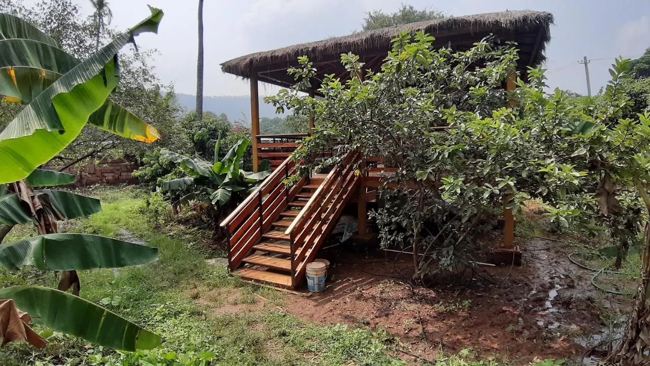 Hotel Organics A Farm Retreat Mysore 0*,