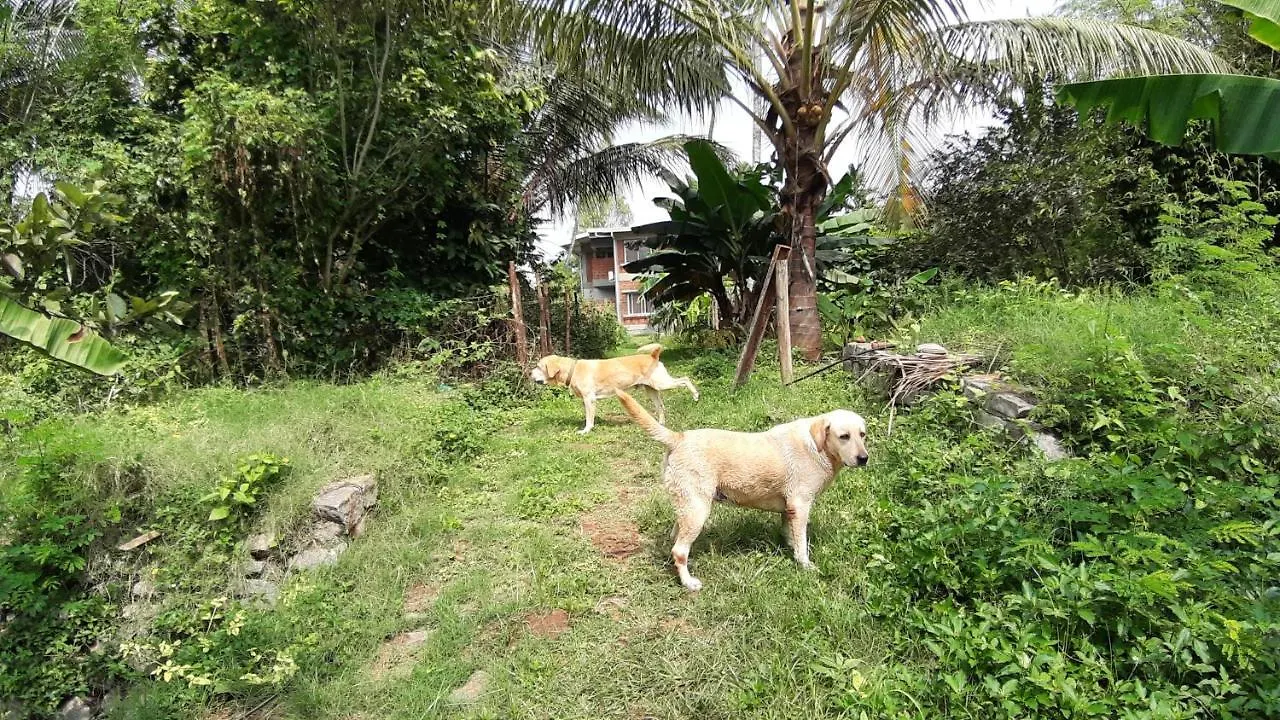 Hotel Organics A Farm Retreat Mysore Gasthof